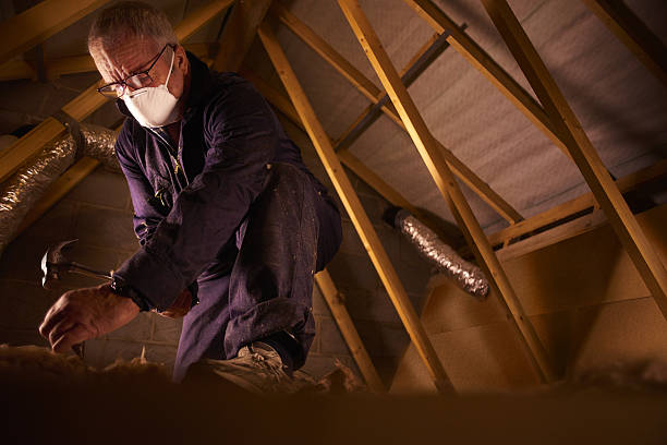 Best Insulation Maintenance and Repair in Mission Bend, TX